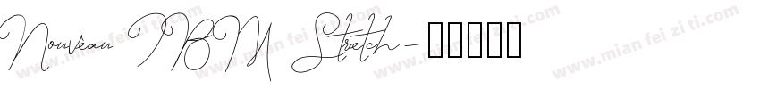 Nouveau IBM Stretch字体转换